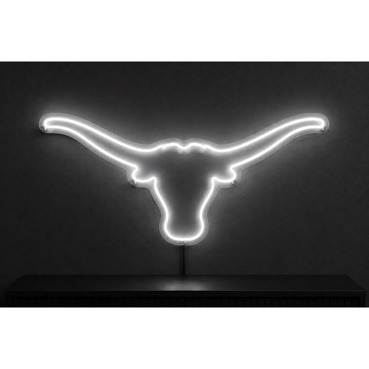 Texas Longhorn