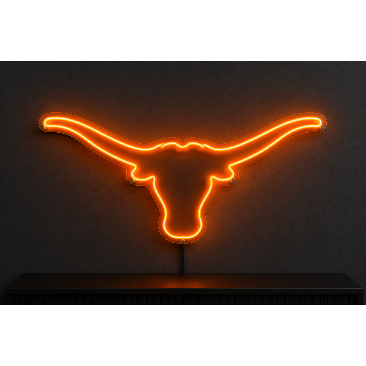 Texas Longhorn